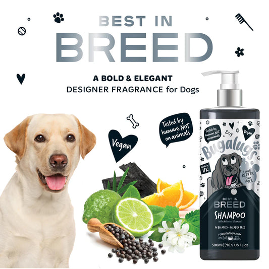 Best in Breed Dog Shampoo