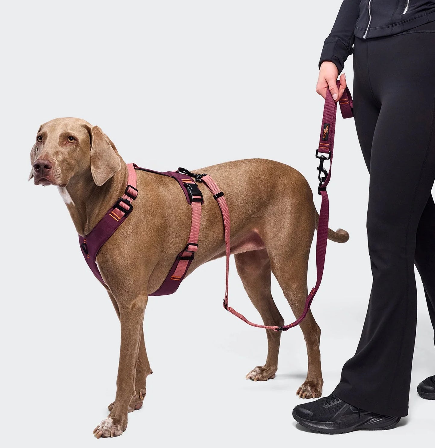 L-1 Hands-Free taumur AKTIV