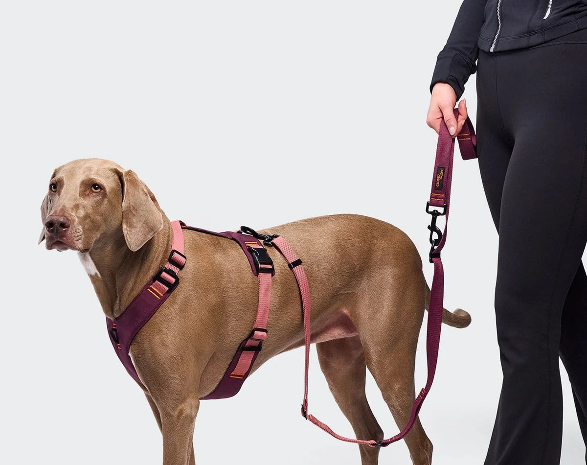 L-1 Hands-Free taumur AKTIV
