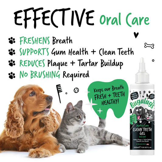 Clean Teeth Gel | Tanngel - Mynta