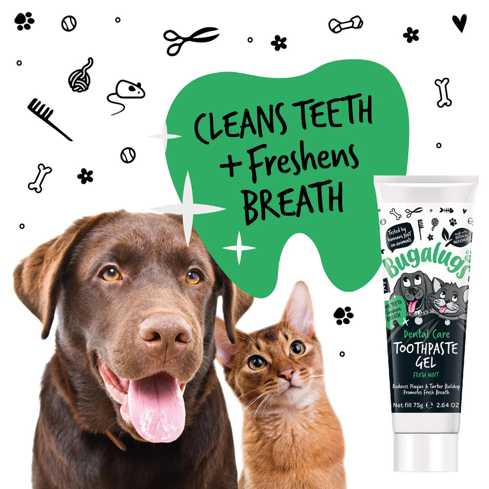 Toothpaste Gel | Tannkrem - Mynta