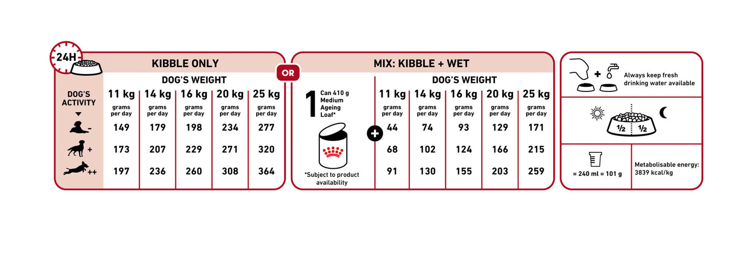 Medium Adult 7+