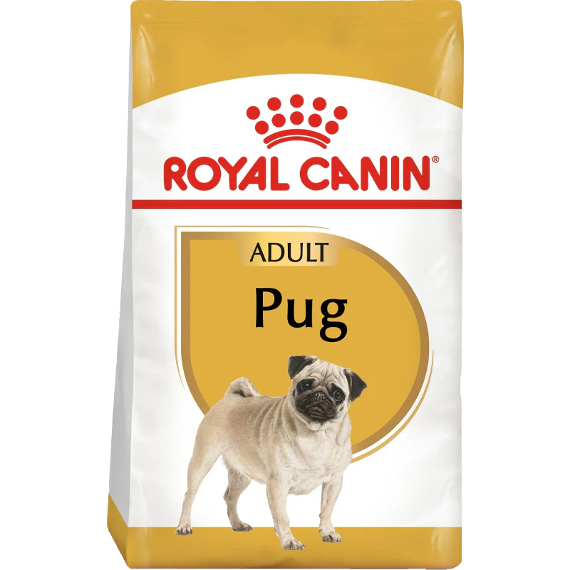 Pug Adult