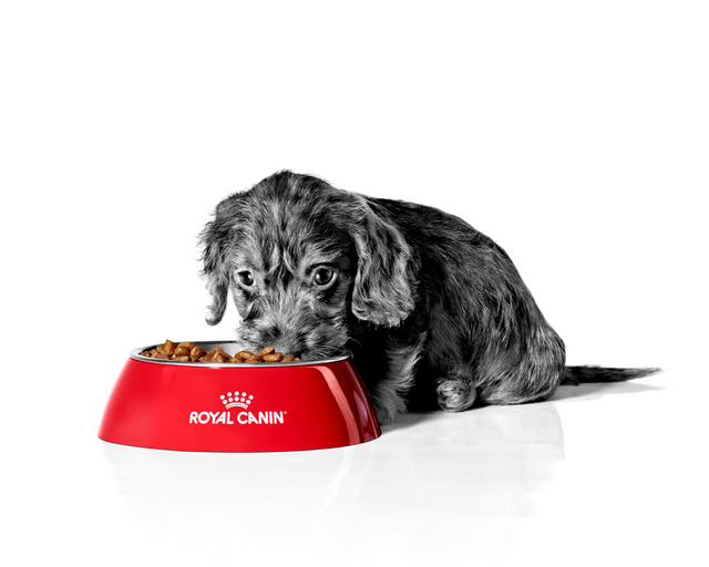 Royal Canin
