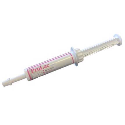 Prolac Paste