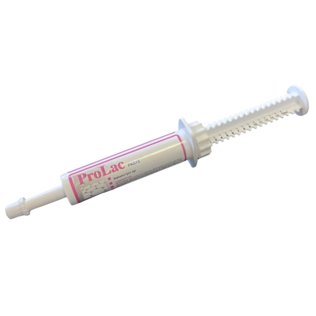 Prolac Paste