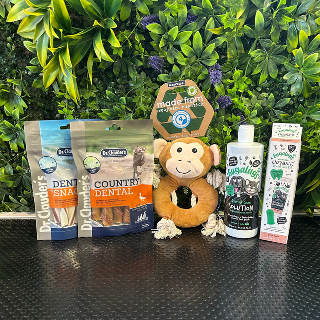 Pakki II | Hreinar tennur