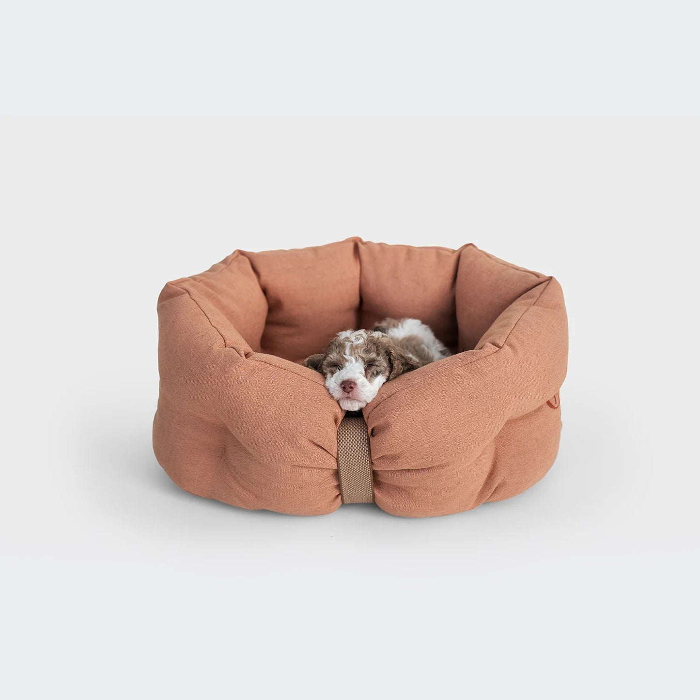 LTTL snoozy hundabæli