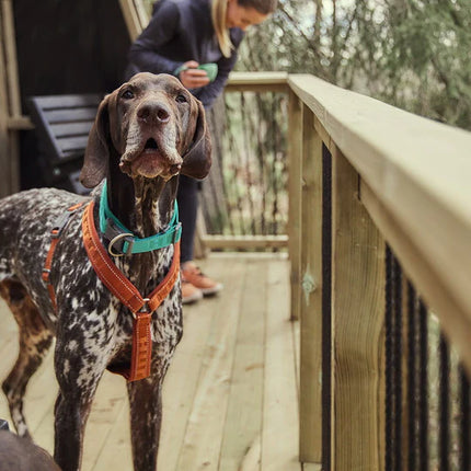 Casual Y-Beisli ECO - Cinnamon