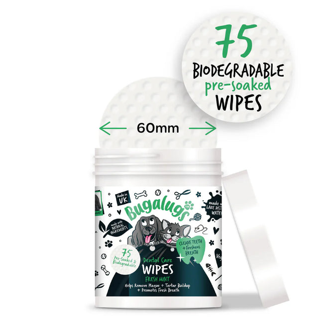 Dental Care Wipes | Tannhreinsiþurrkur - Mynta (75 í pakka)