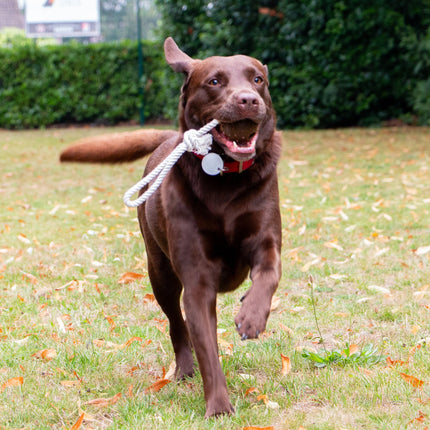 Tough Ropey Ball Tugger