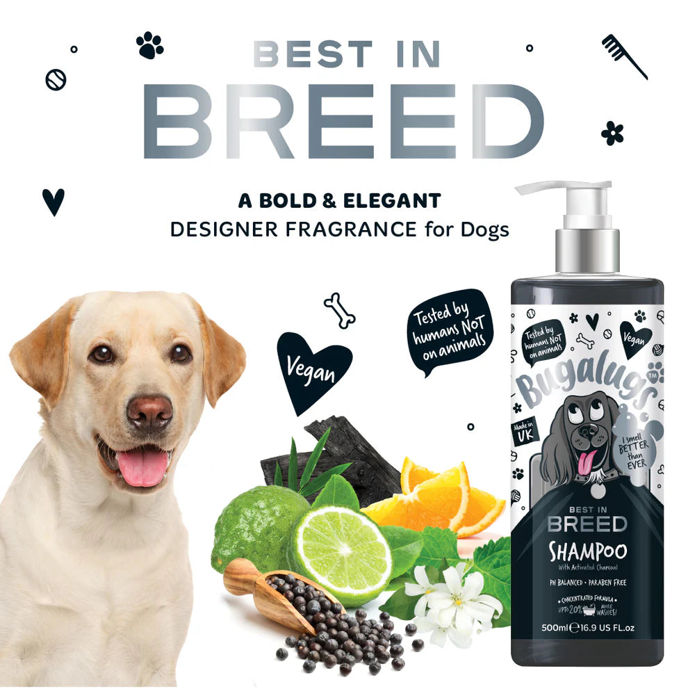 Best in Breed Dog Shampoo