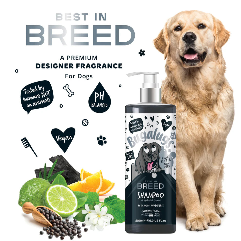 Best in Breed Dog Shampoo