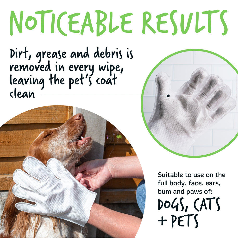 Pet Glove Wipes | Hreinsiþurrkur (30stk í pakka)