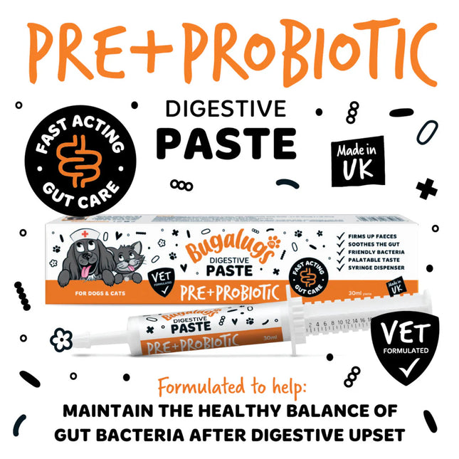 Pre & Probiotic Digestive Paste | Góðgerlar
