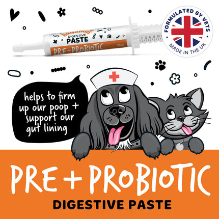 Pre & Probiotic Digestive Paste | Góðgerlar