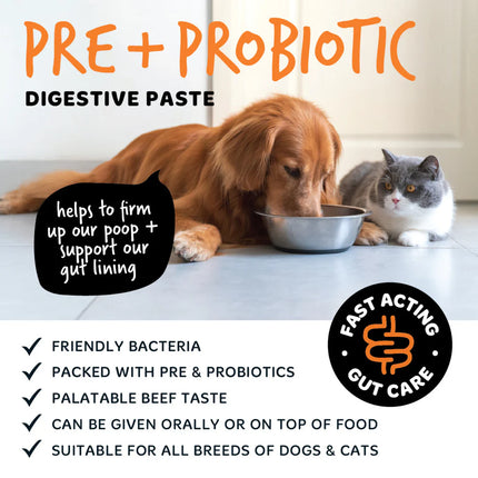 Pre & Probiotic Digestive Paste | Góðgerlar