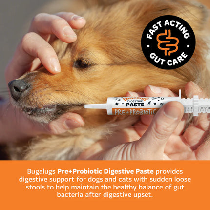 Pre & Probiotic Digestive Paste | Góðgerlar