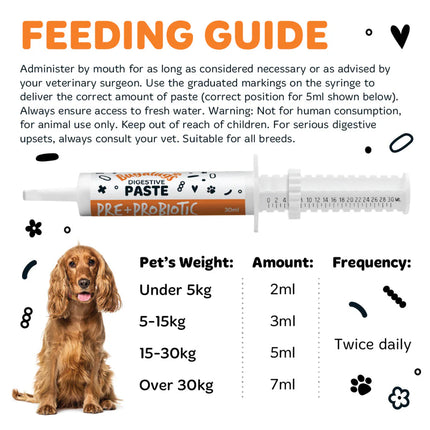 Pre & Probiotic Digestive Paste | Góðgerlar