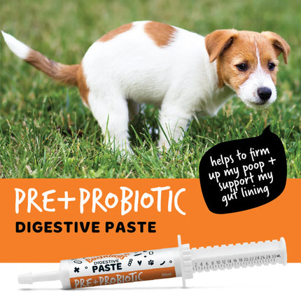 Pre & Probiotic Digestive Paste | Góðgerlar