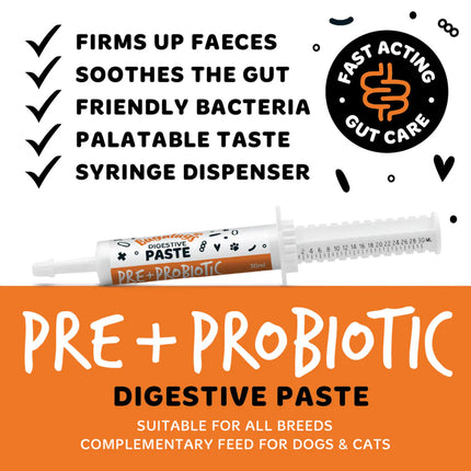 Pre & Probiotic Digestive Paste | Góðgerlar