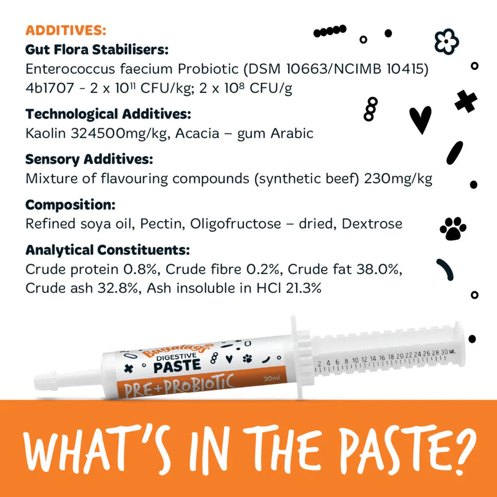 Pre & Probiotic Digestive Paste | Góðgerlar