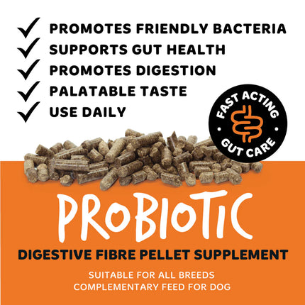 Digestive Pellets | Meltingakúlur - Trefjar