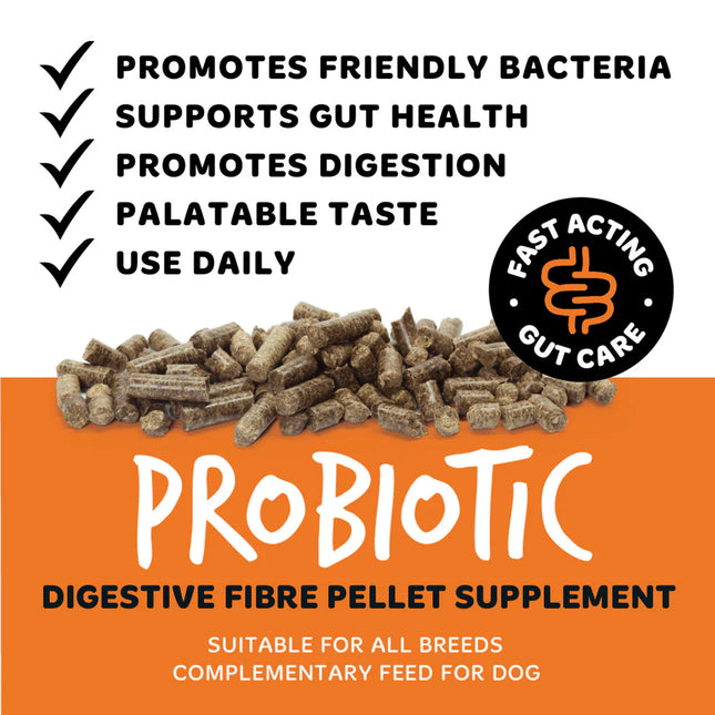 Digestive Pellets | Meltingakúlur - Trefjar