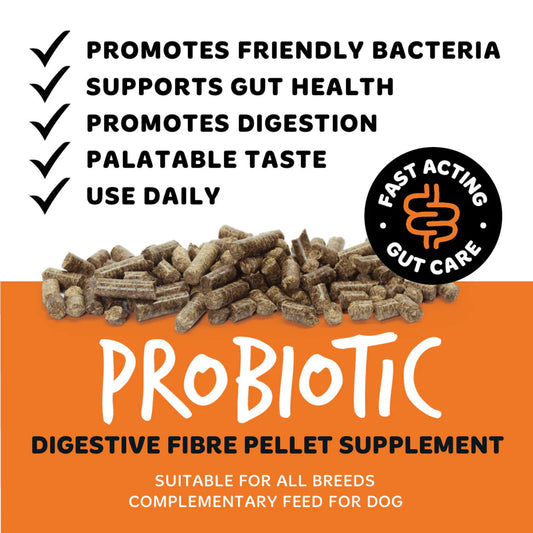Digestive Pellets | Meltingakúlur - Trefjar