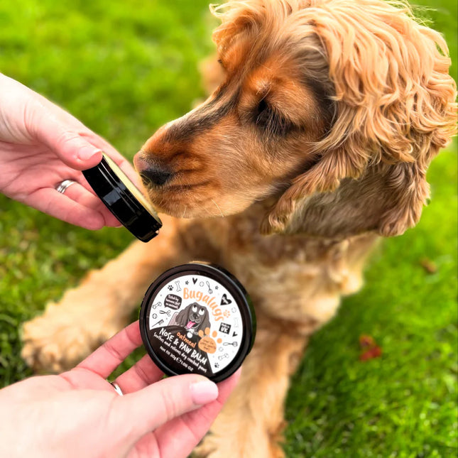Nose & Paw Balm | Smyrsli - Hafrar