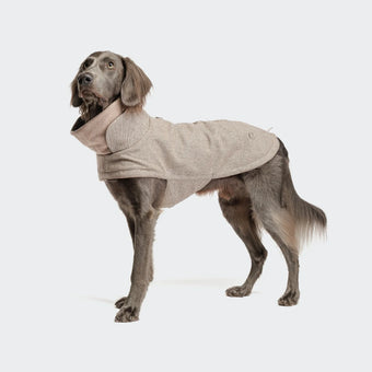 Brooklyn Tweed Beige hundajakki