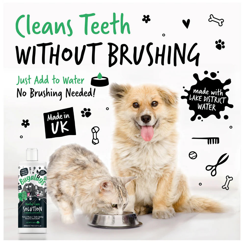 Dental Care Solution | Tannhreinsivökvi í vatn (væntanlegt)