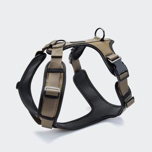 Softshell Black