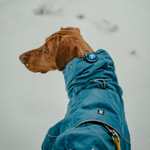 Orbiloc Dog Dual
