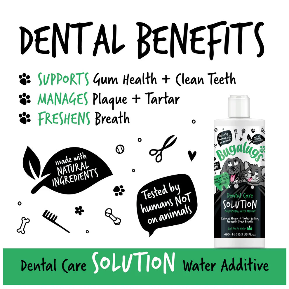 Dental Care Solution | Tannhreinsivökvi í vatn (væntanlegt)