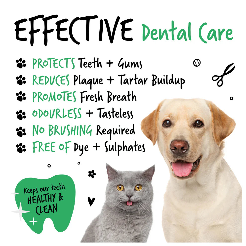 Dental Care Solution | Tannhreinsivökvi í vatn (væntanlegt)