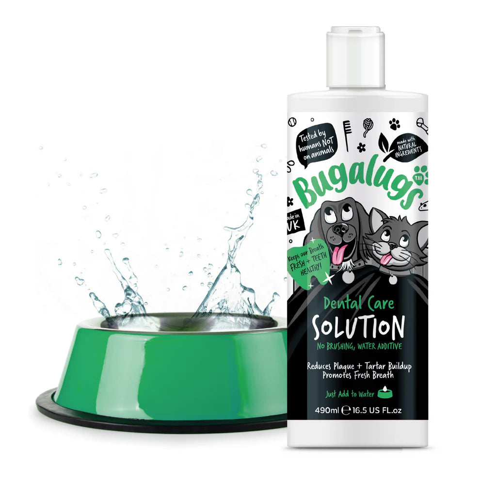 Dental Care Solution | Tannhreinsivökvi í vatn (væntanlegt)