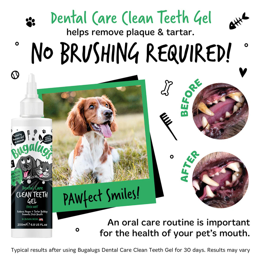 Clean Teeth Gel | Tanngel - Mynta