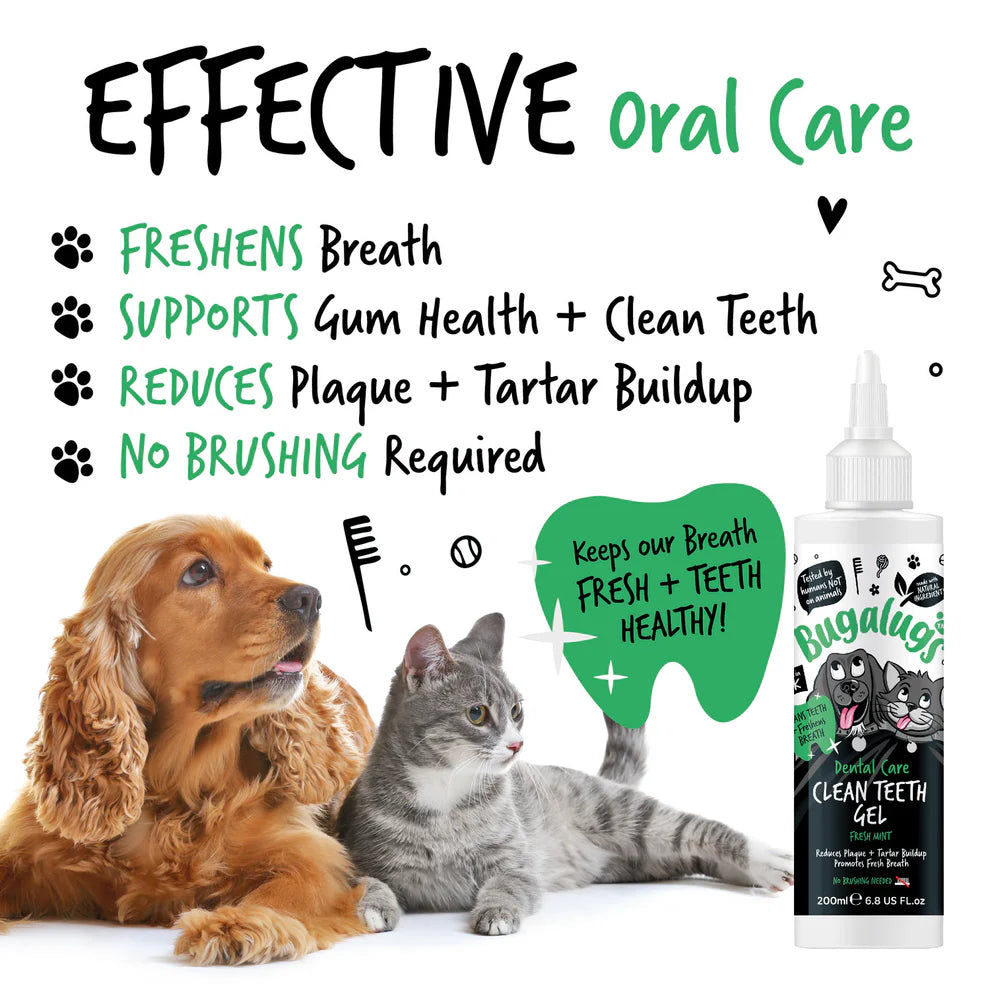 Clean Teeth Gel | Tanngel - Mynta