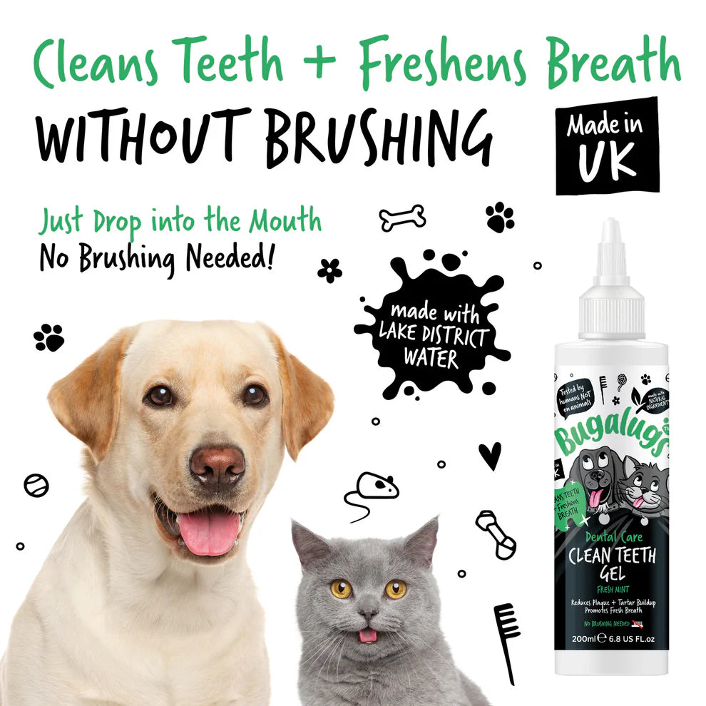 Clean Teeth Gel | Tanngel - Mynta
