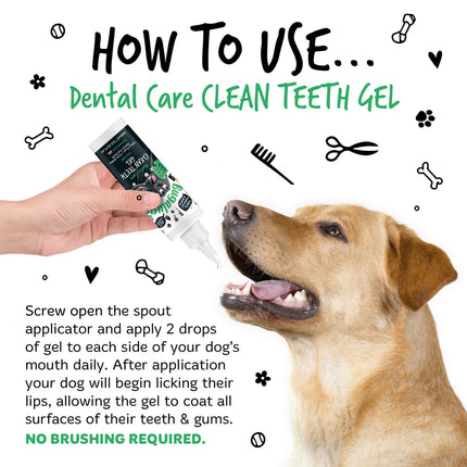 Clean Teeth Gel | Tanngel - Mynta
