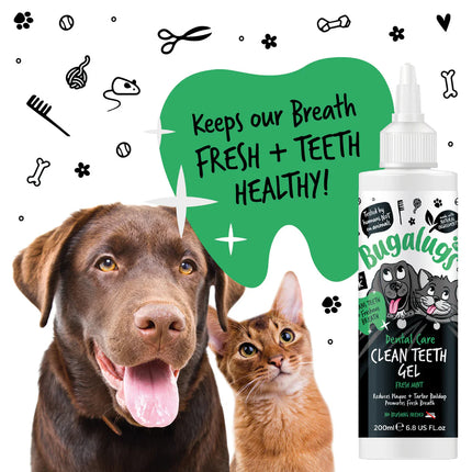 Clean Teeth Gel | Tanngel - Mynta