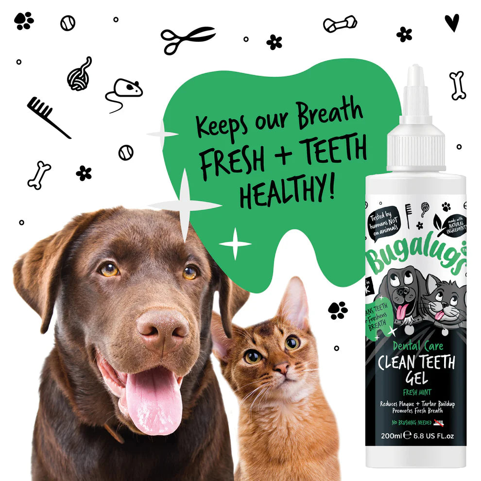 Clean Teeth Gel | Tanngel - Mynta