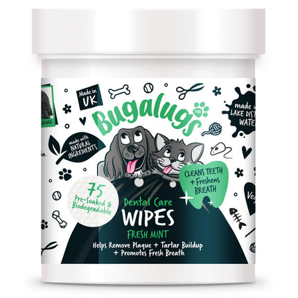 Dental Care Wipes | Tannhreinsiþurrkur - Mynta (75 í pakka)