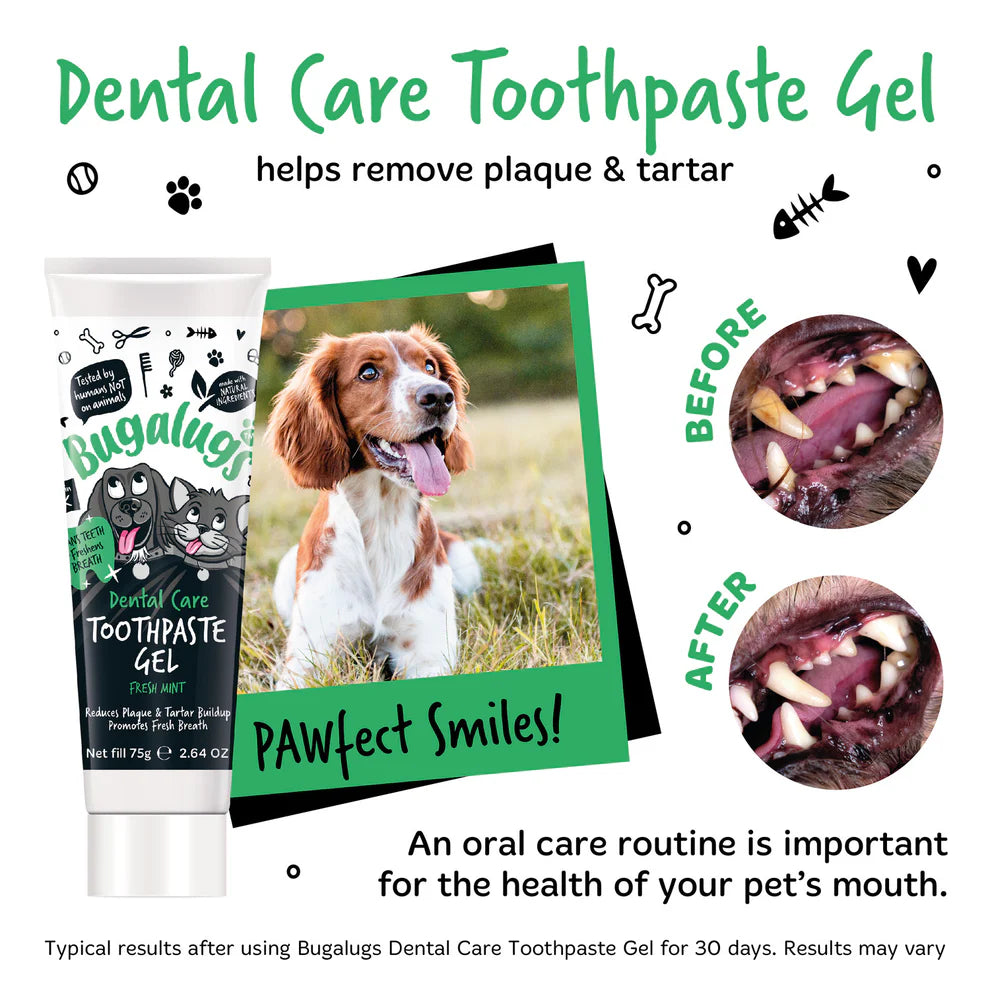 Toothpaste Gel | Tannkrem - Mynta