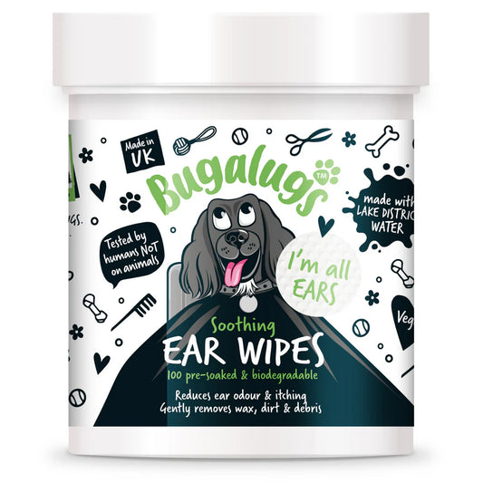 Ear Wipes | Eyrnaþurrkur (100stk í pakka)