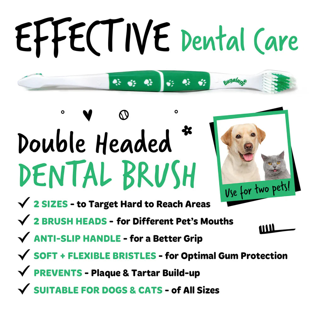 Double Ended Dental Care Toothbrushes | Tannbursti með 2 mismunandi hausum