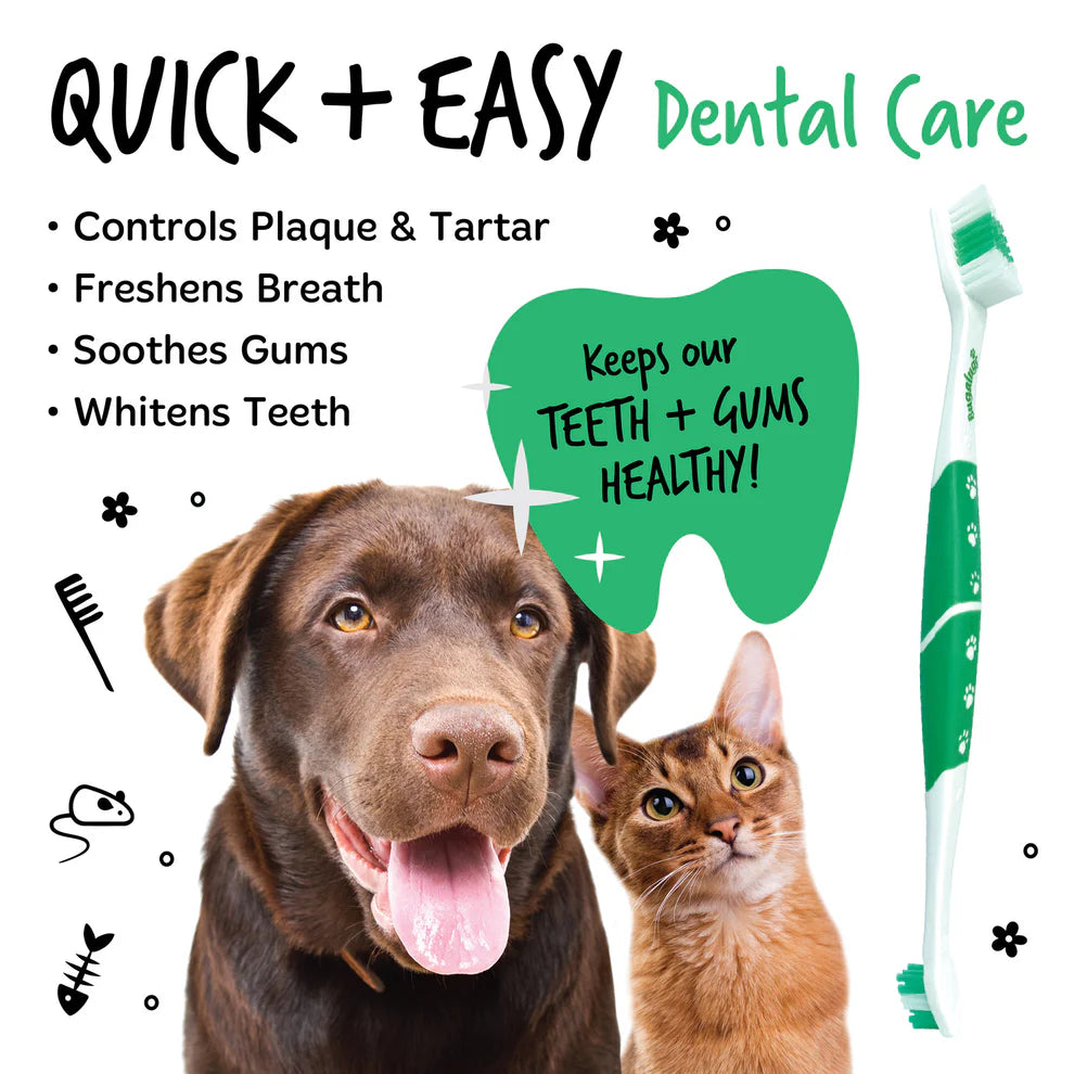 Double Ended Dental Care Toothbrushes | Tannbursti með 2 mismunandi hausum