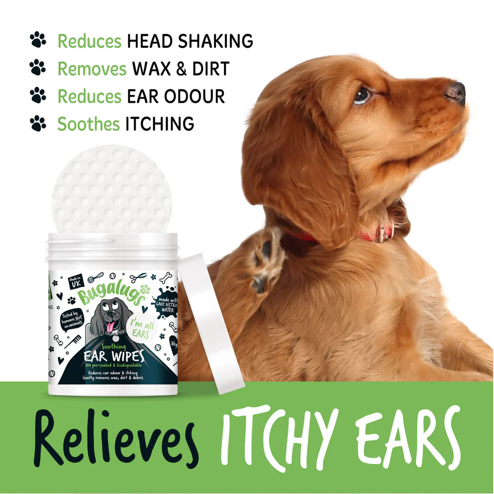 Ear Wipes | Eyrnaþurrkur (100stk í pakka)