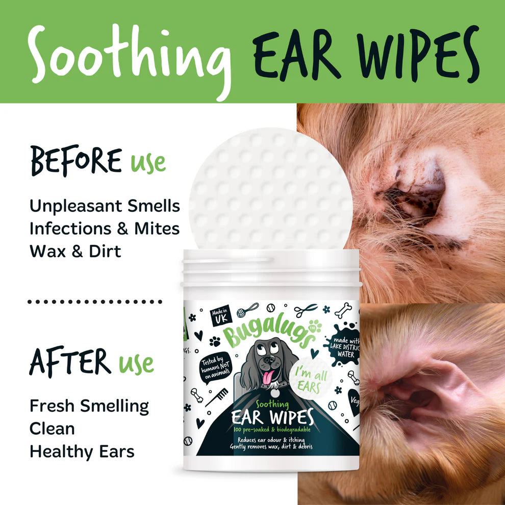 Ear Wipes | Eyrnaþurrkur (100stk í pakka)